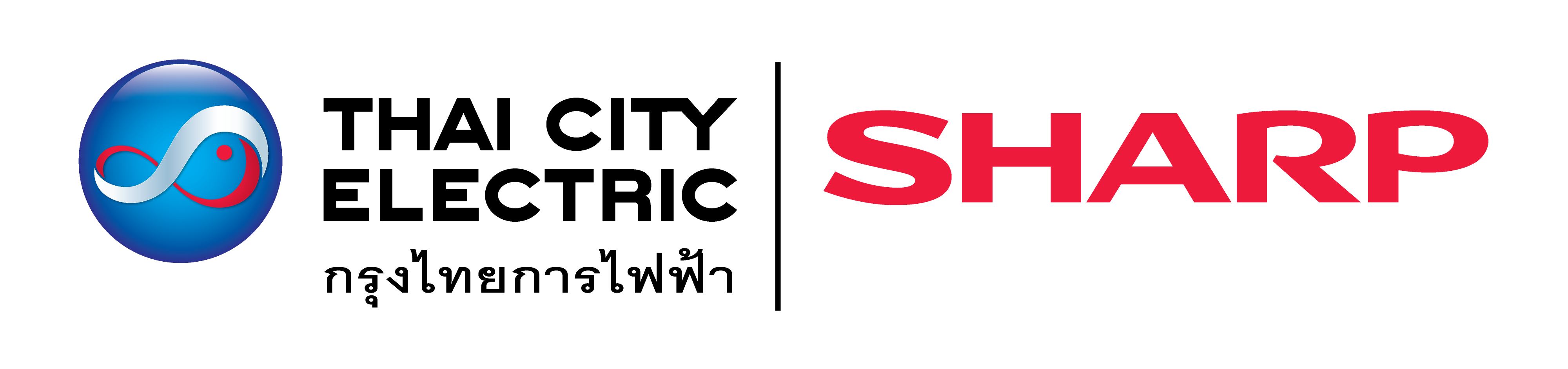 Thai City Electric Co., Ltd.